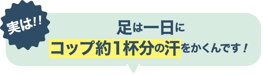 実は！足は一日にコップ約１杯分の汗をかくんです！