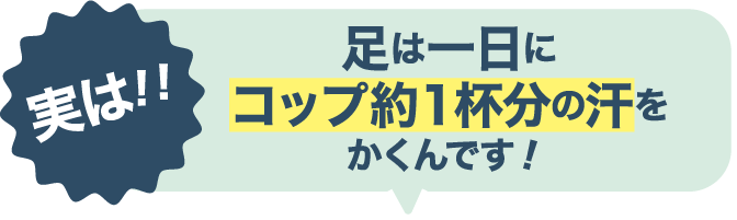 実は！足は一日にコップ約１杯分の汗をかくんです！