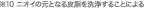 ※10 ニオイの元となる皮脂を洗浄することによる
