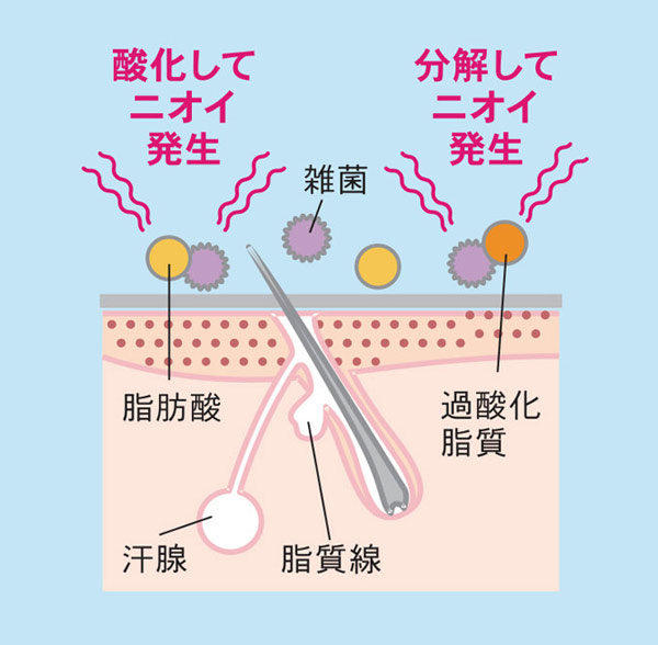 汗と、疲労臭・ストレス臭のイメージ