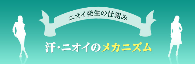 ニオイ発生の仕組み 汗・ニオイのメカニズム