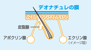 「デオナチュレ」のイメージ